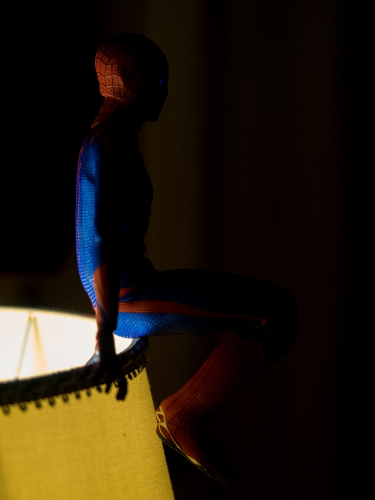 A spider on the light......