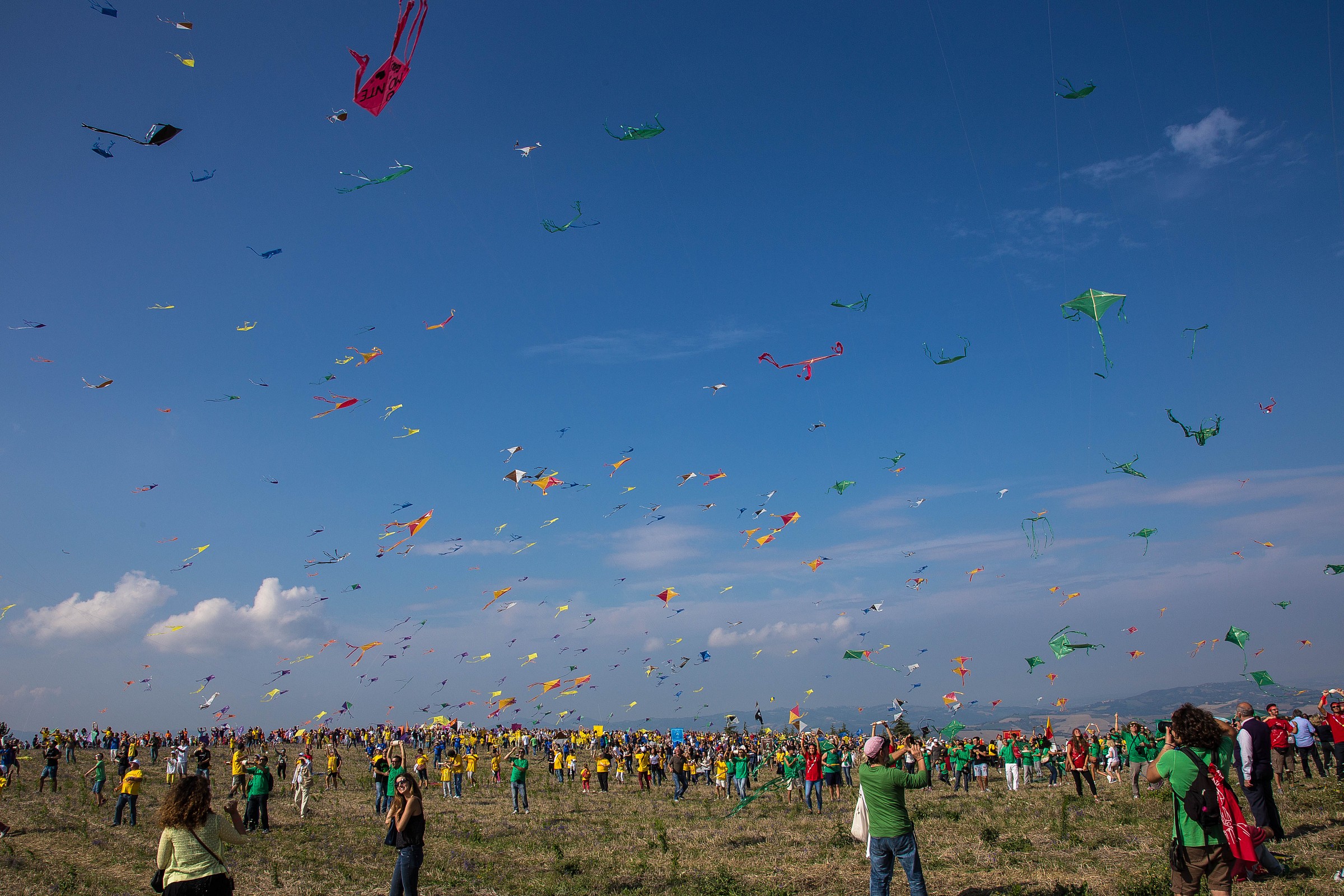Race kites...