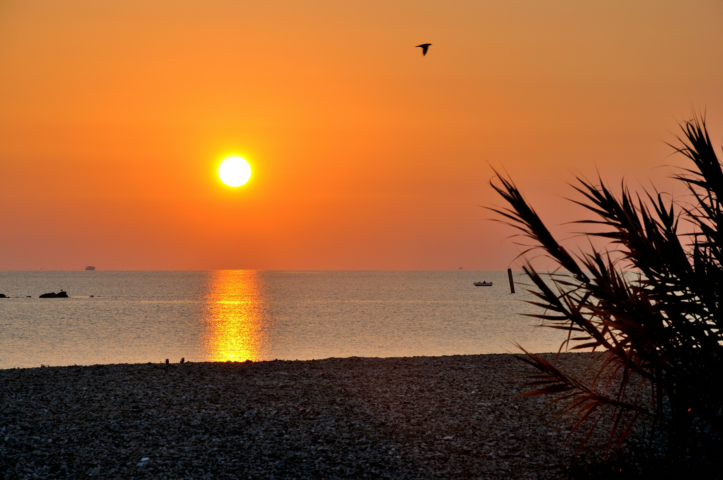 Sunrise on the 'Adriatic...