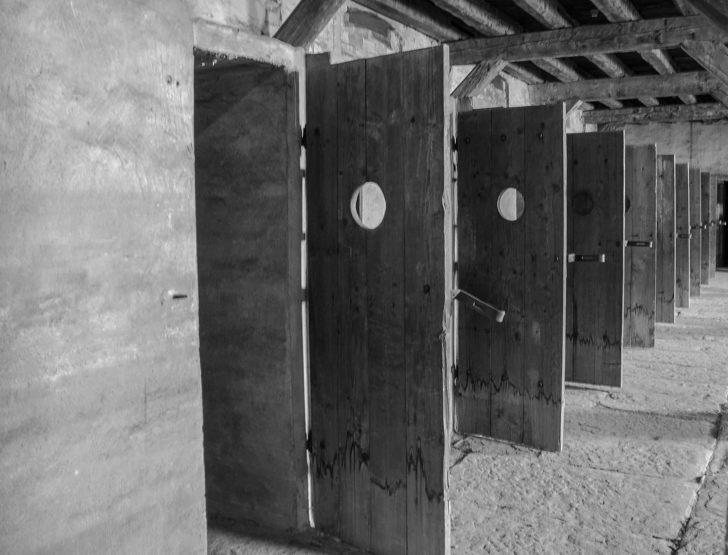 The cells ......