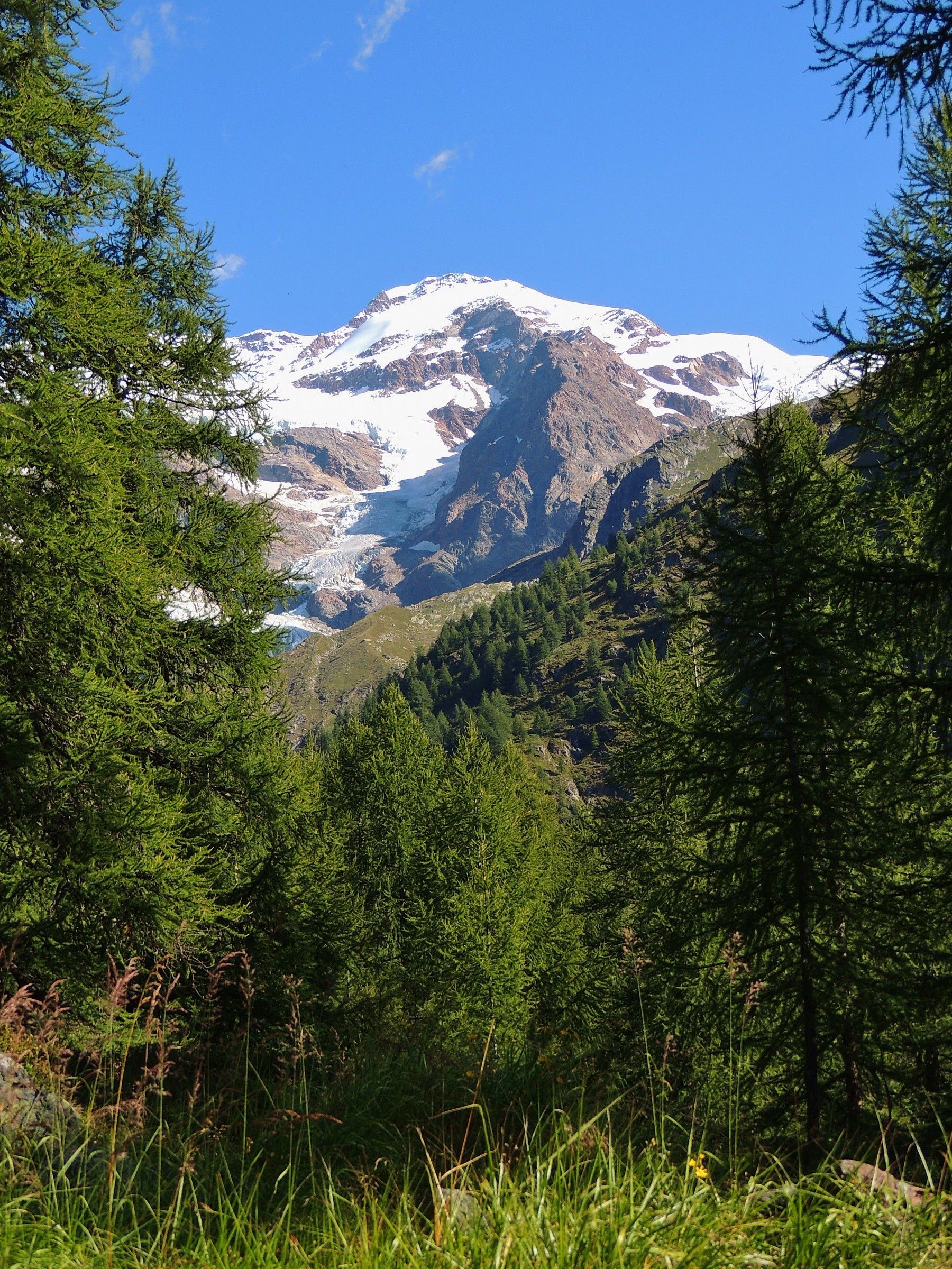 The Monte Rosa and its peaks...