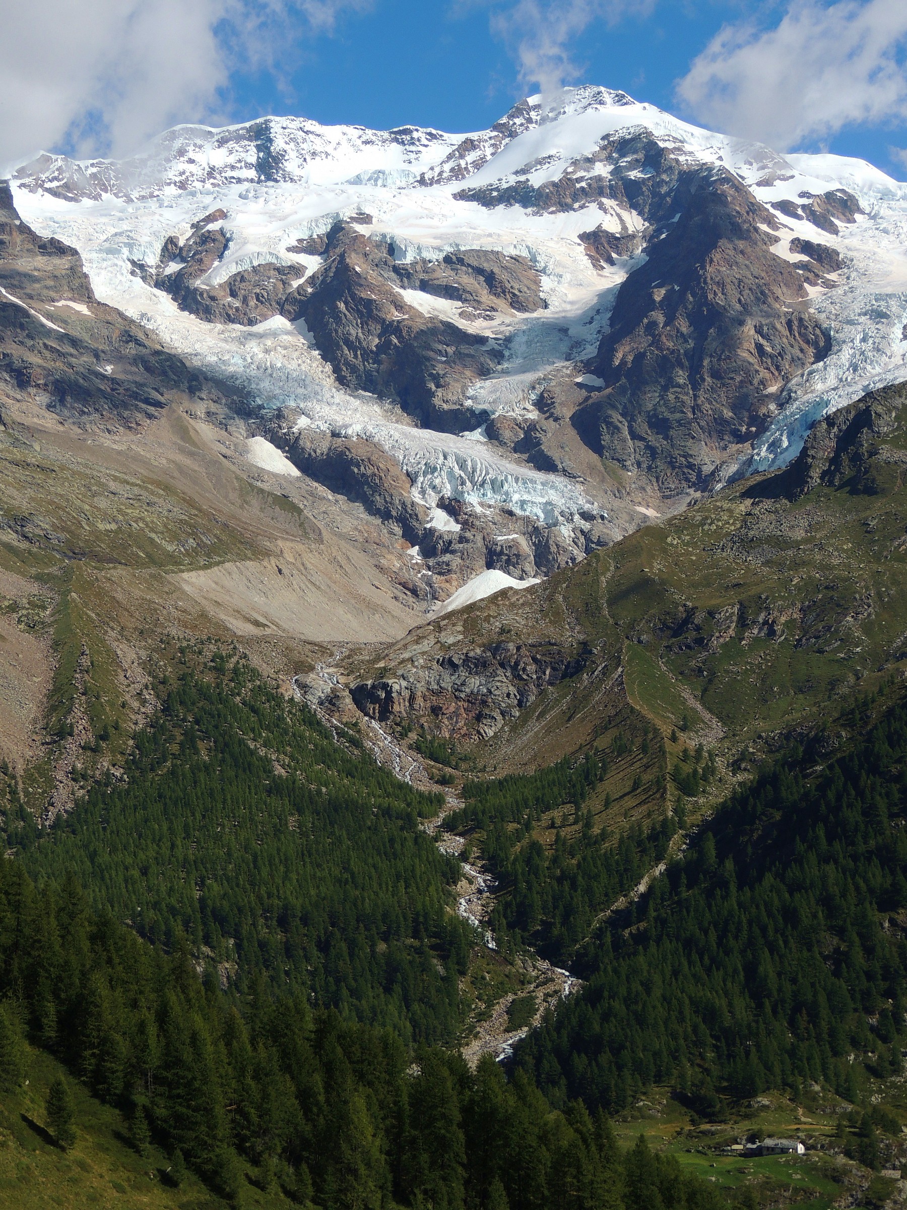 The Monte Rosa and its peaks-9...