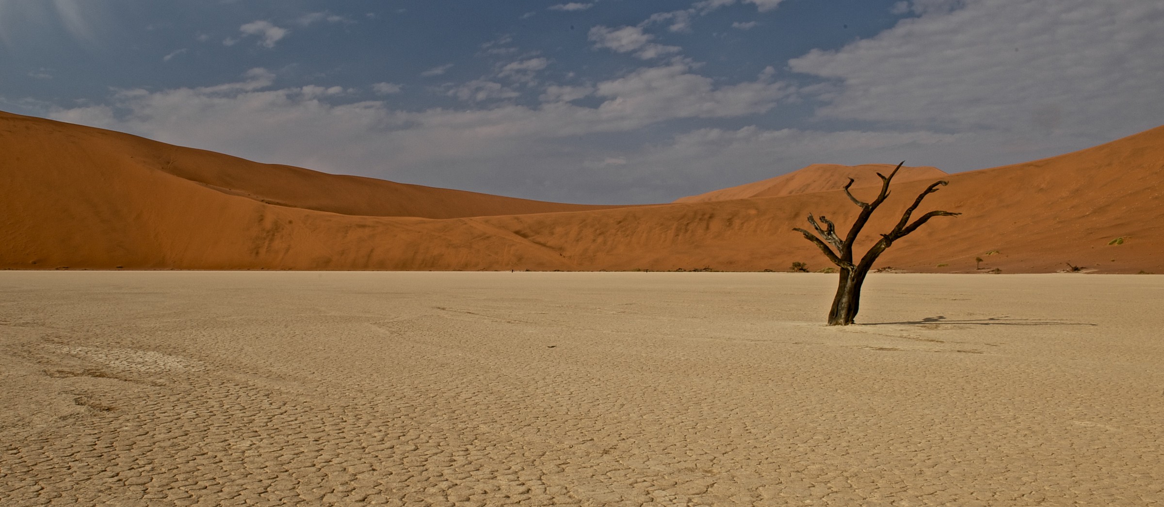 deadvlei...