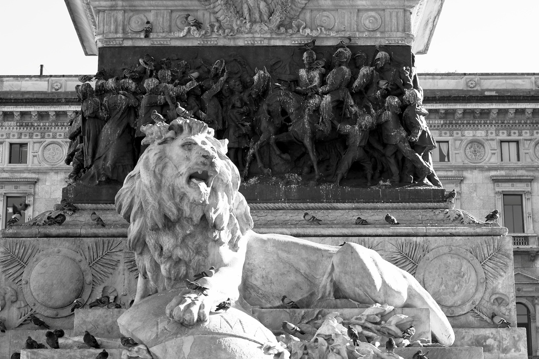 The lion ... and the pigeons!...