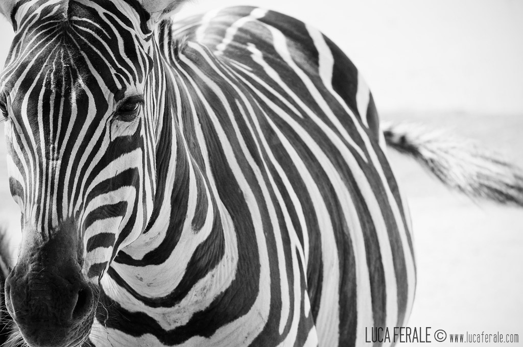 Untitled Photo...
