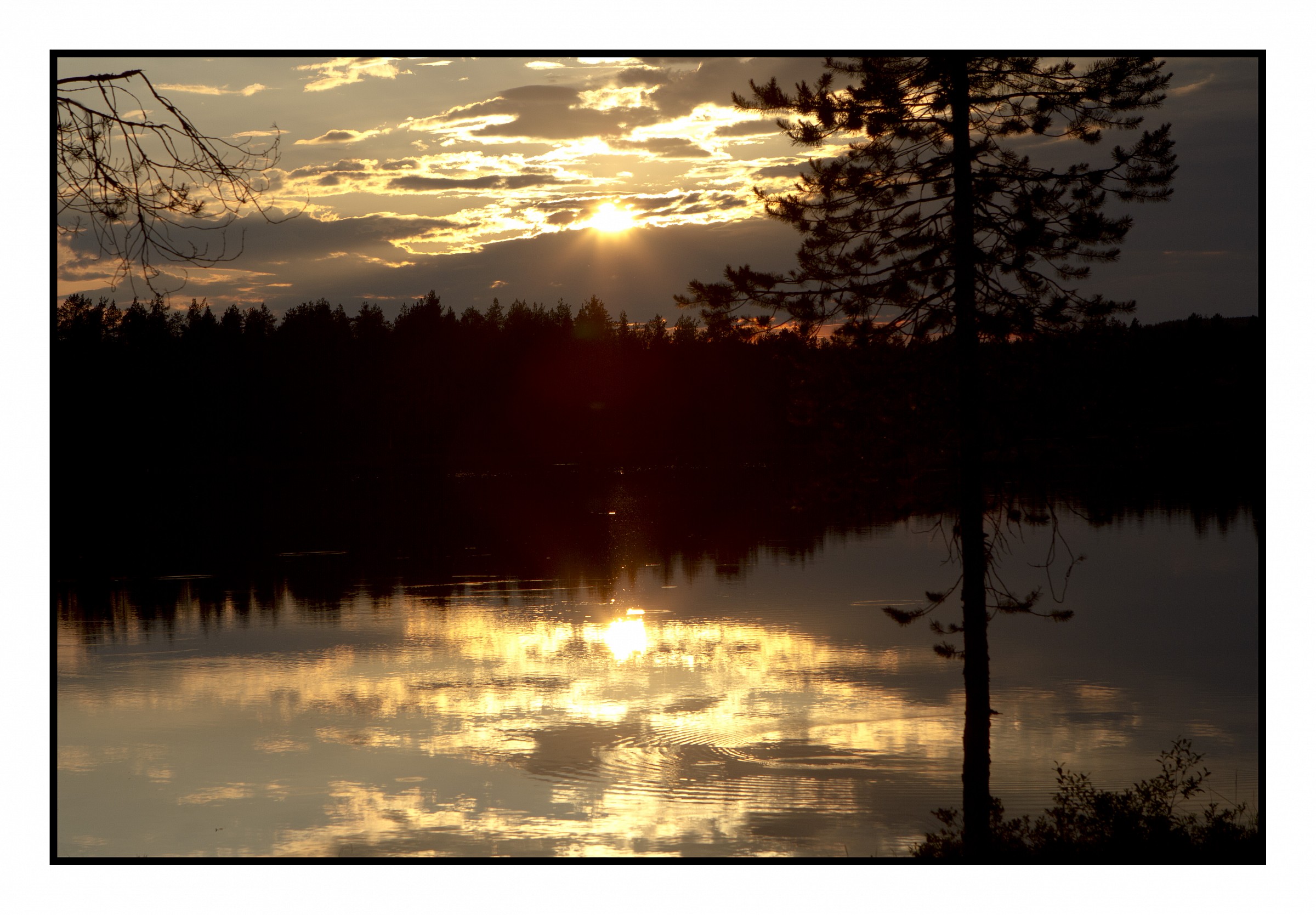Midnightsun, Lapponia, Finland...