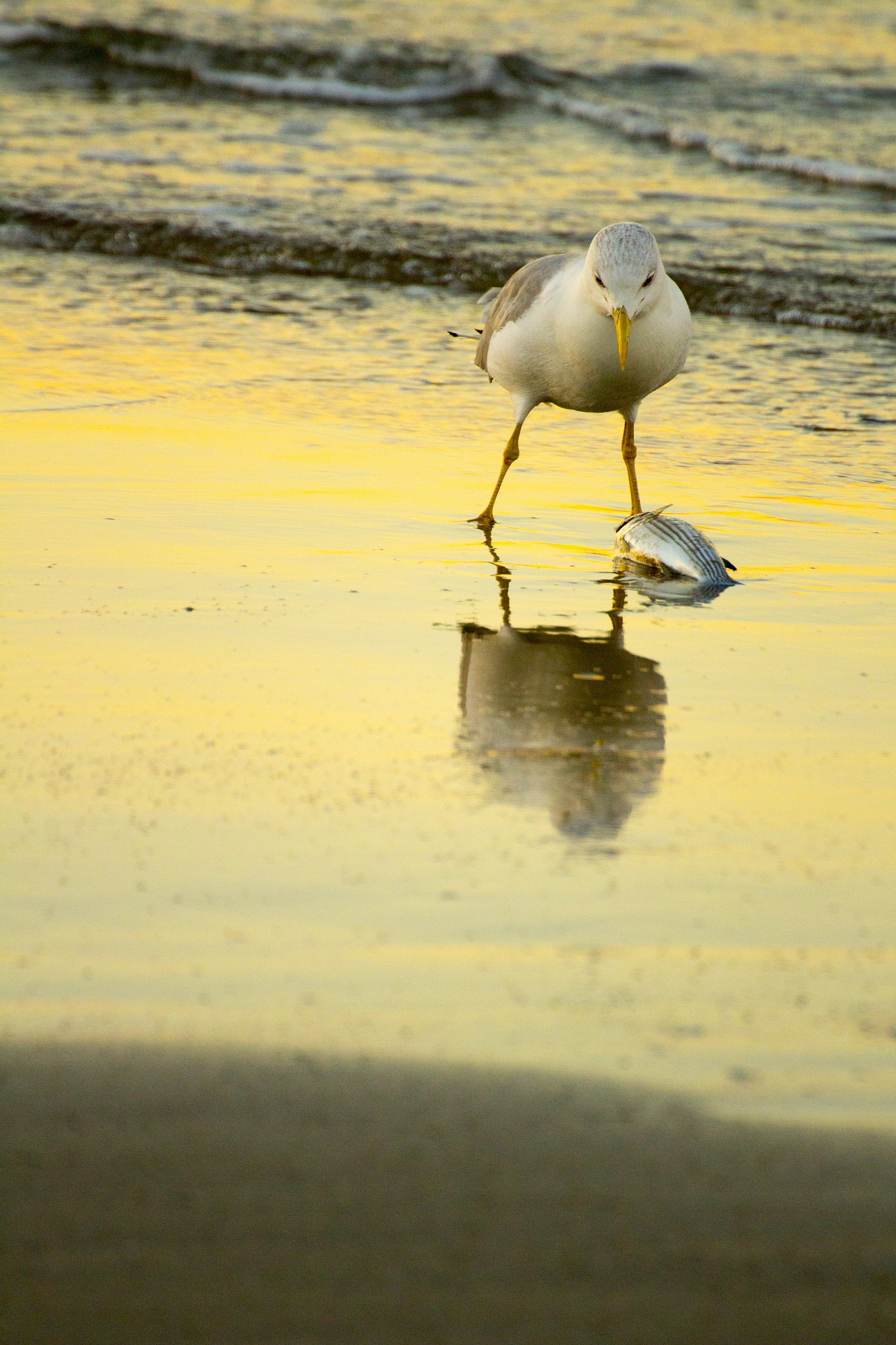 Untitled Photo...