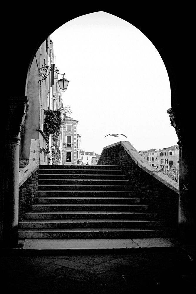 Untitled Photo...