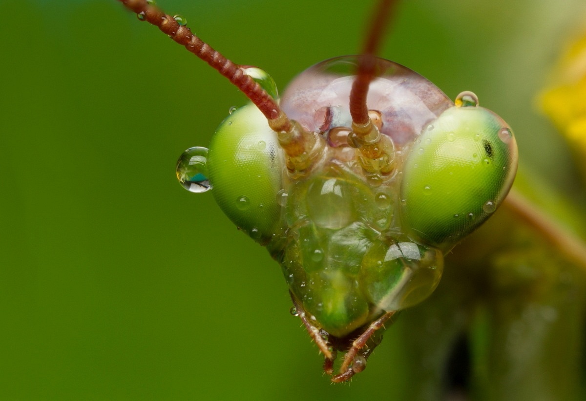 Face to face...