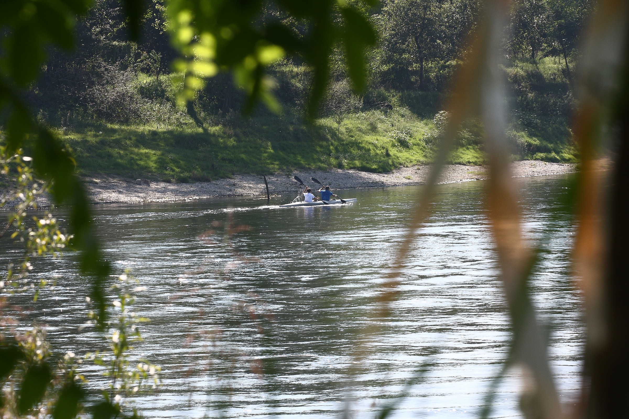 Spying on the river...