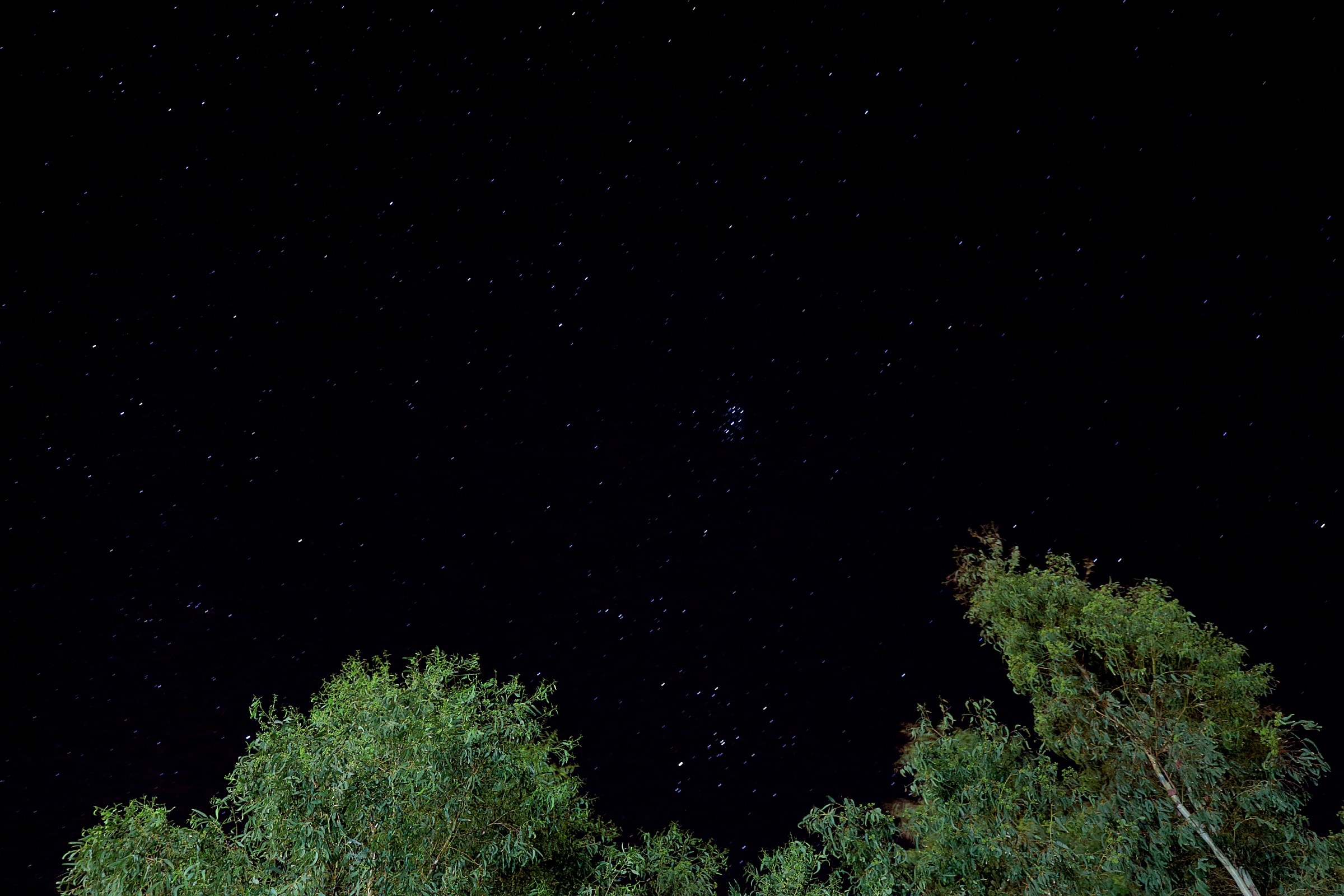 The Pleiades...