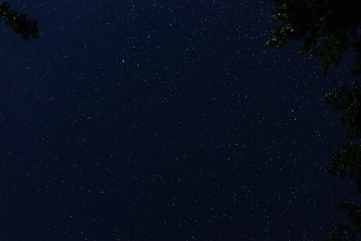 Starry sky from 'Orecchiella...