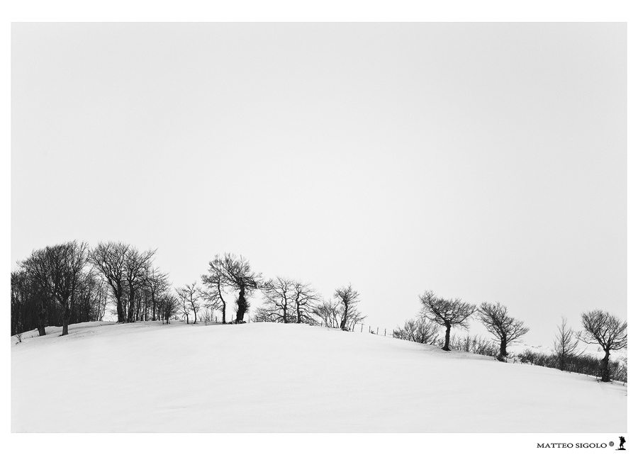 Untitled Photo...