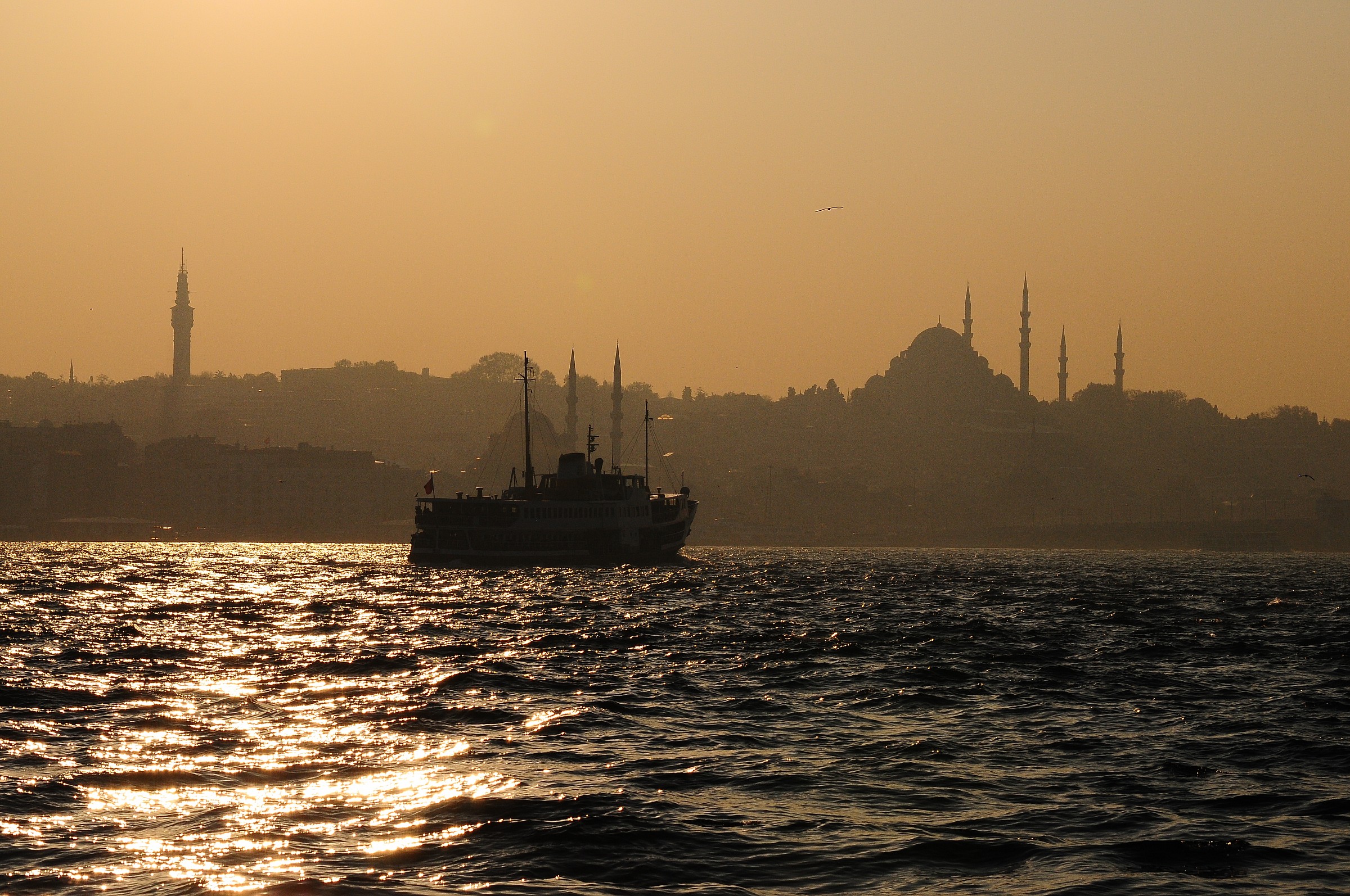 Untitled Photo...