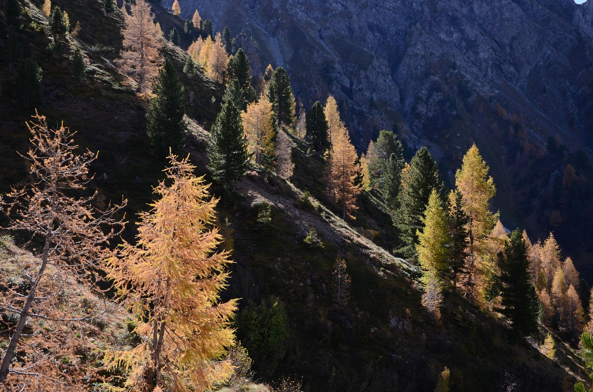 colori autunnali bis...