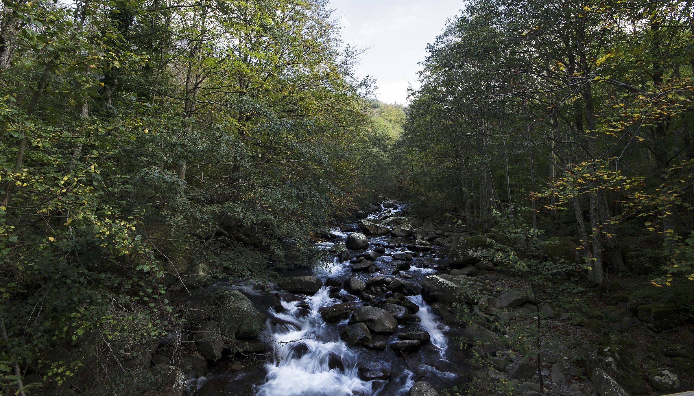 Torrente Dardagna...