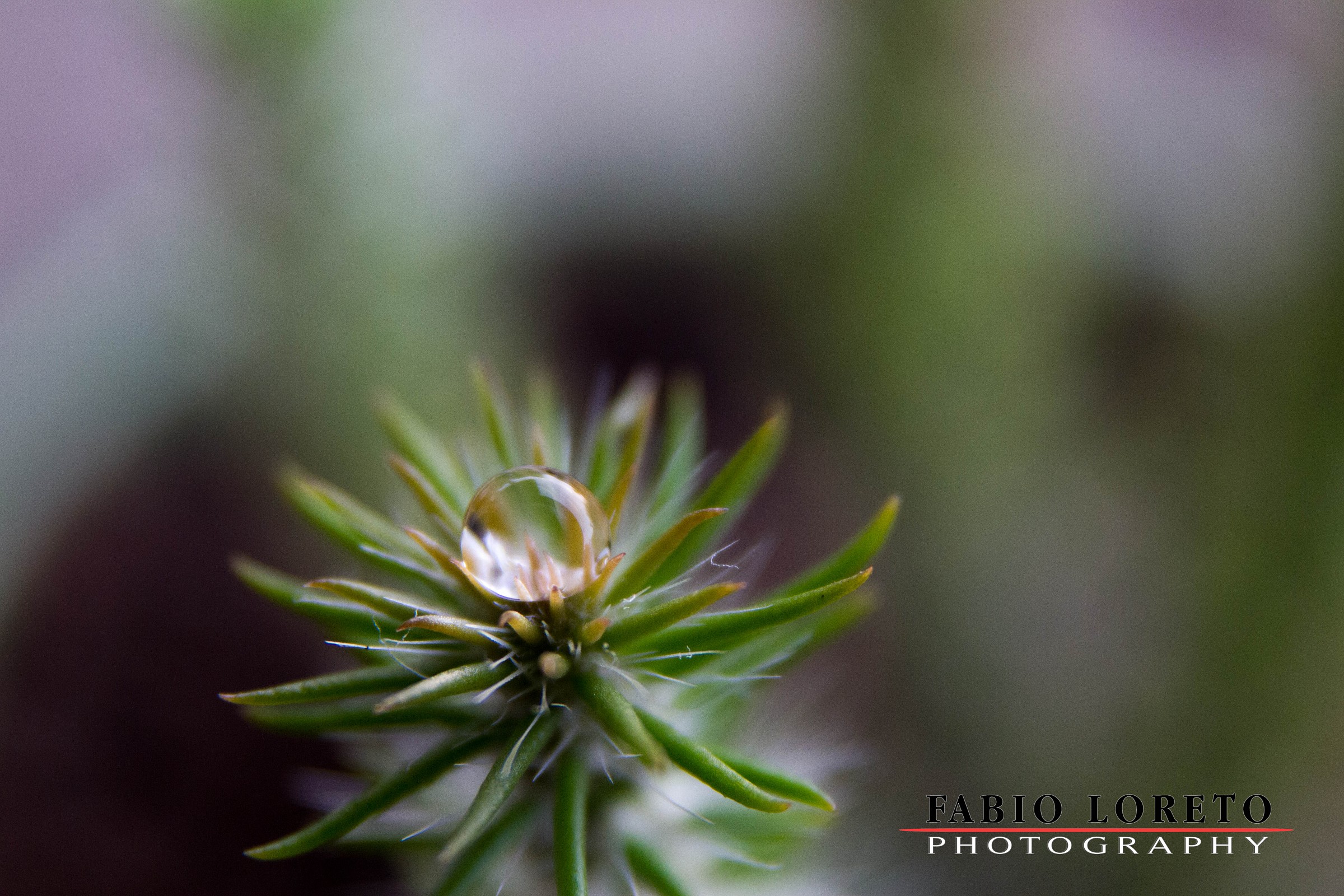 Untitled Photo...