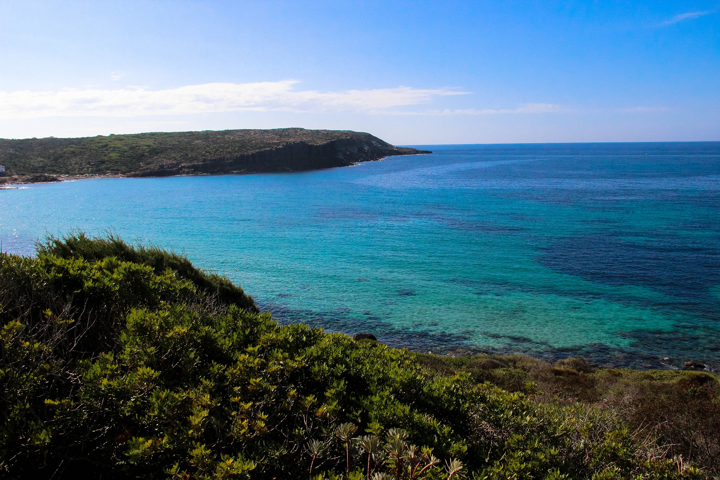 The Cove...
