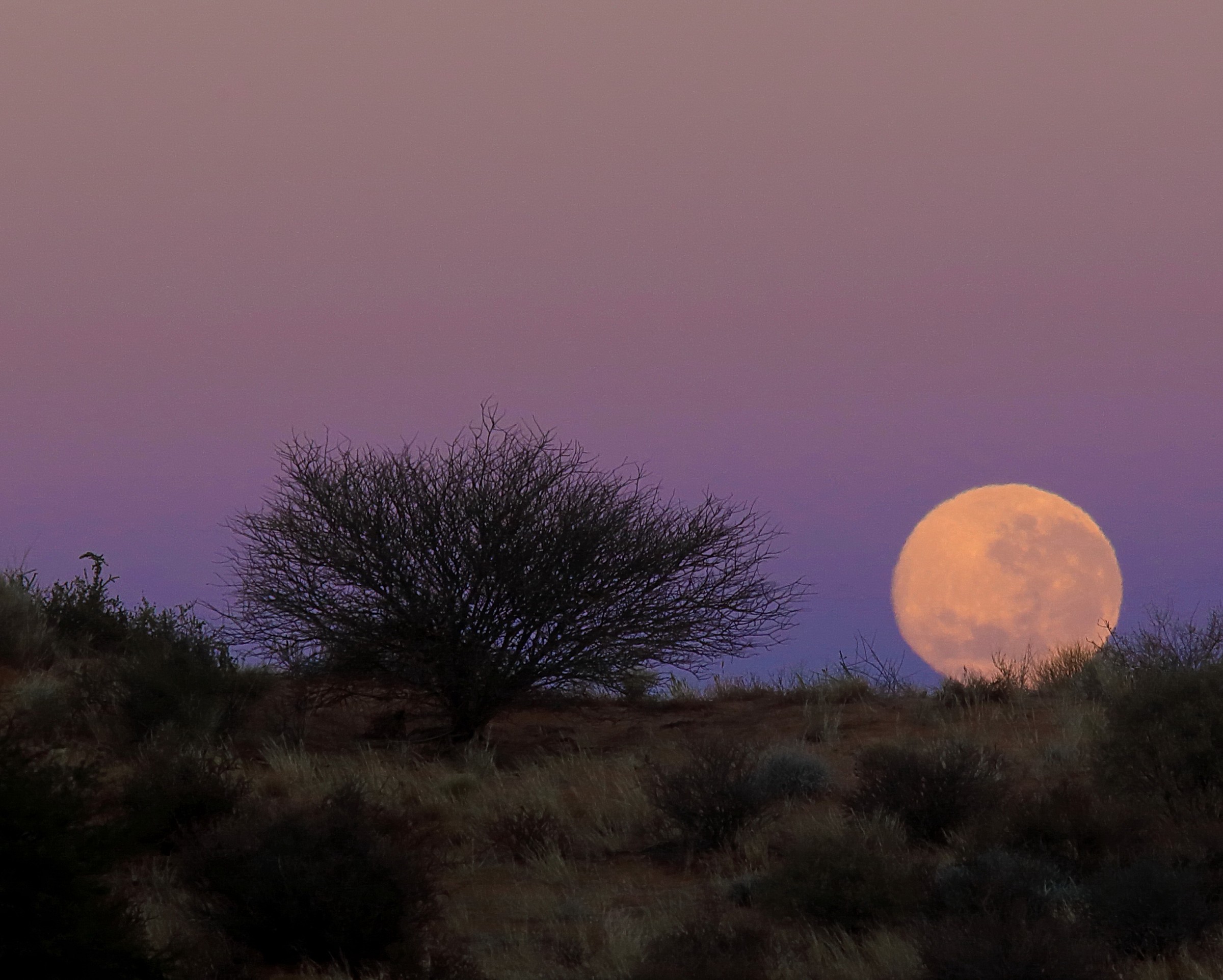 moonset in the Kalahari...