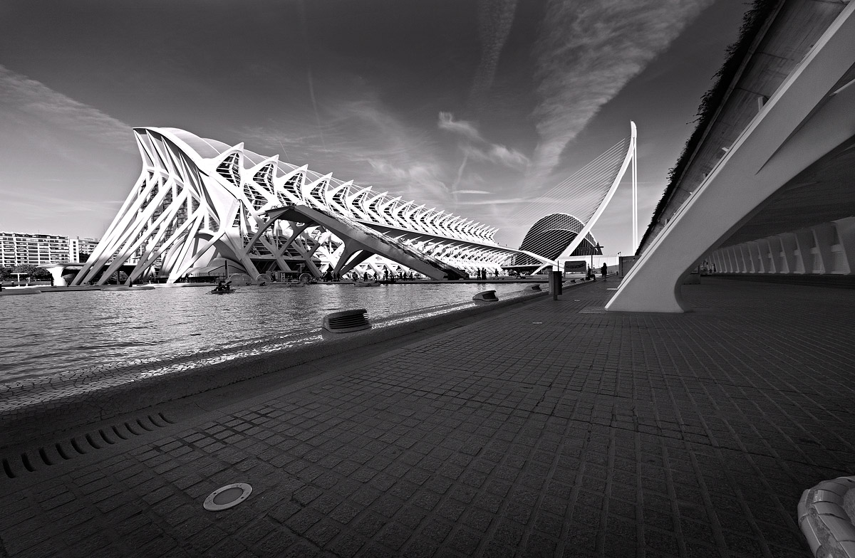 City of Arts and Sciences B & W 3...