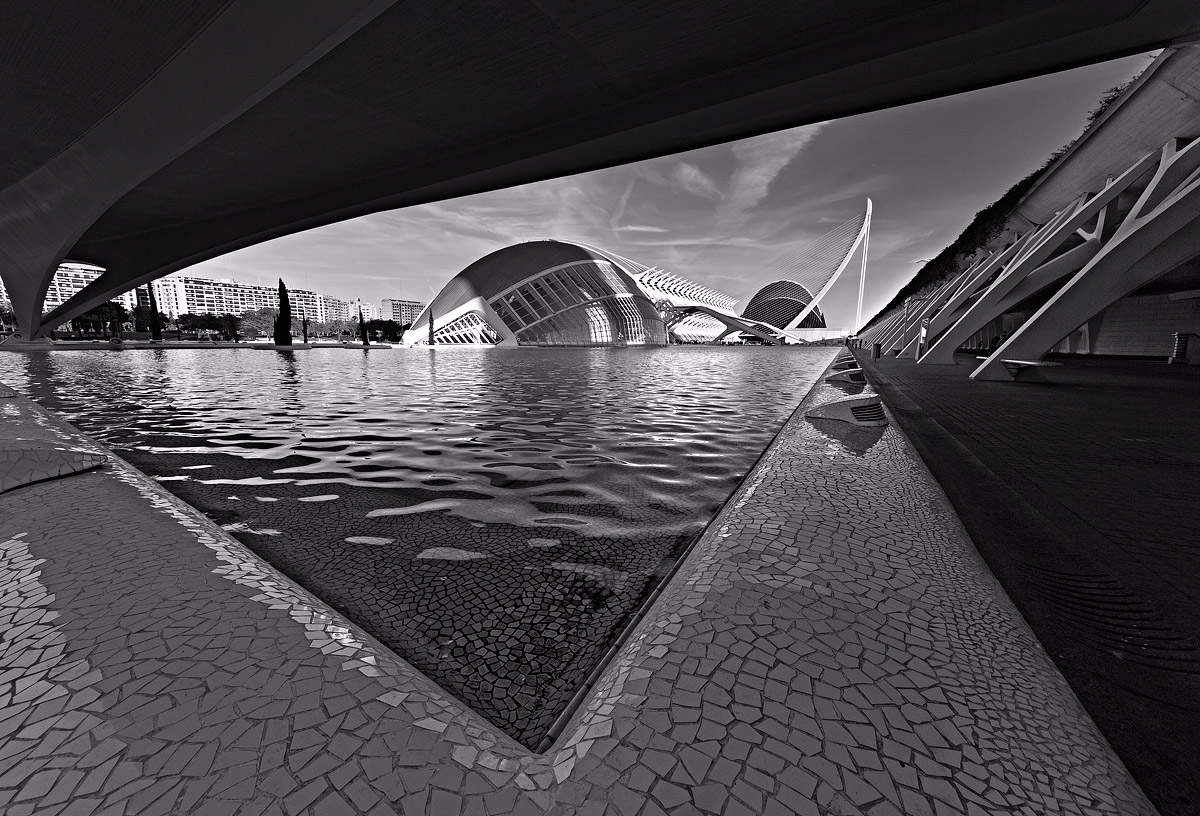 City of Arts and Sciences b & w....
