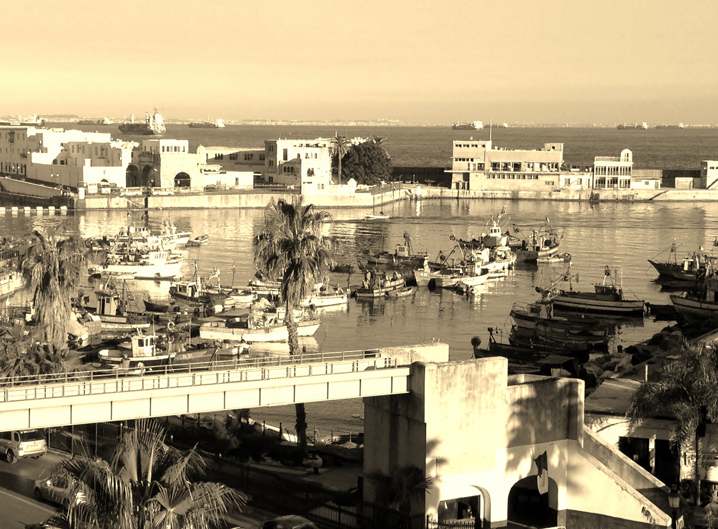 Algiers port...