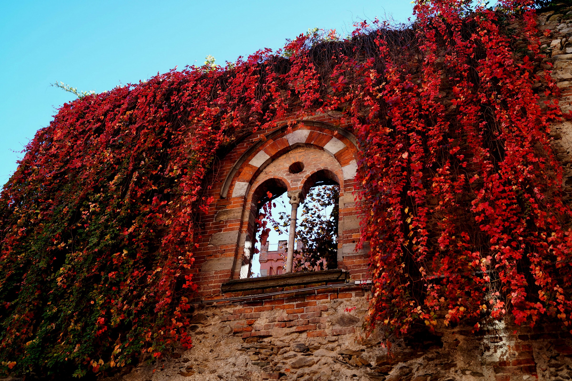 Mullioned window...