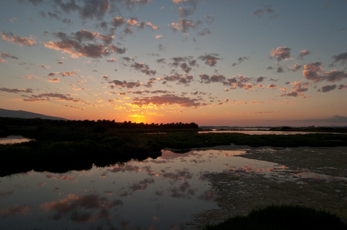 Sula Sunset lagoon of Orbetello...
