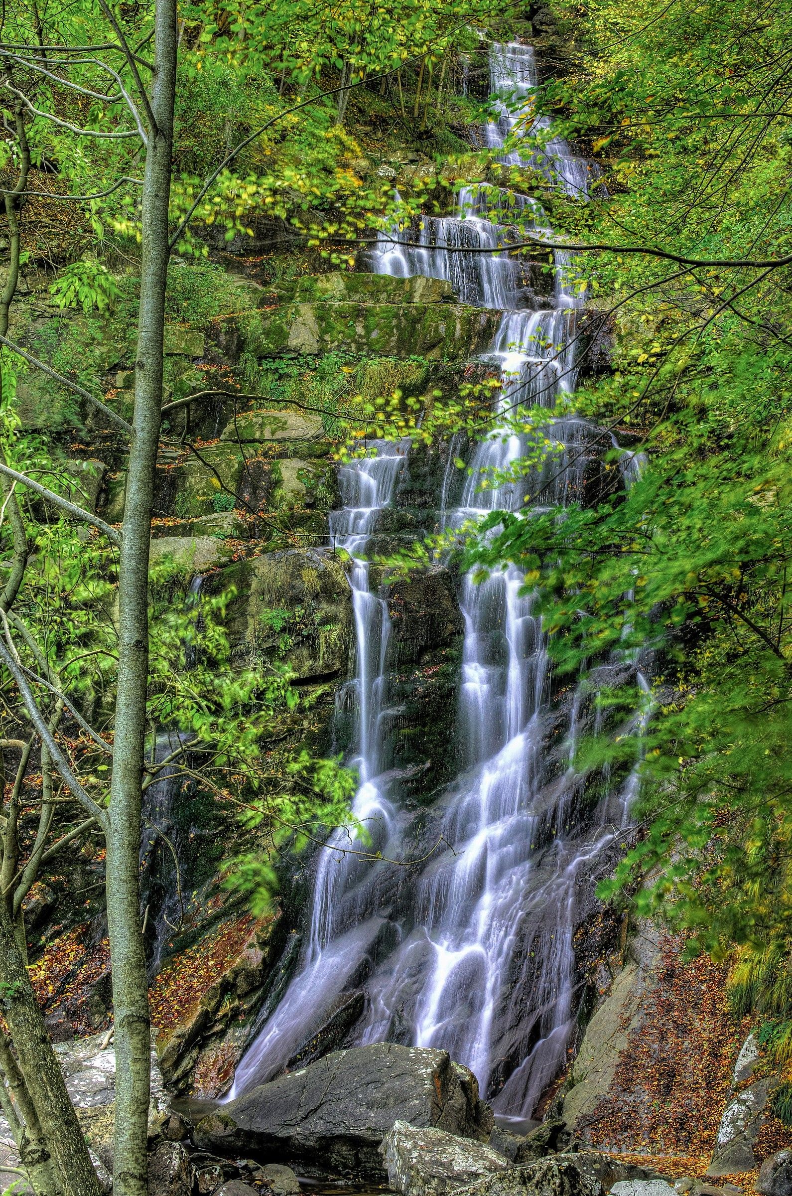 Waterfalls Arroscia...