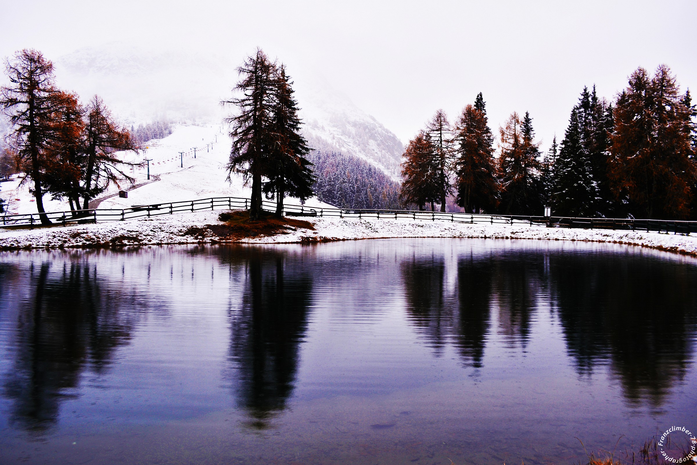 Untitled Photo...