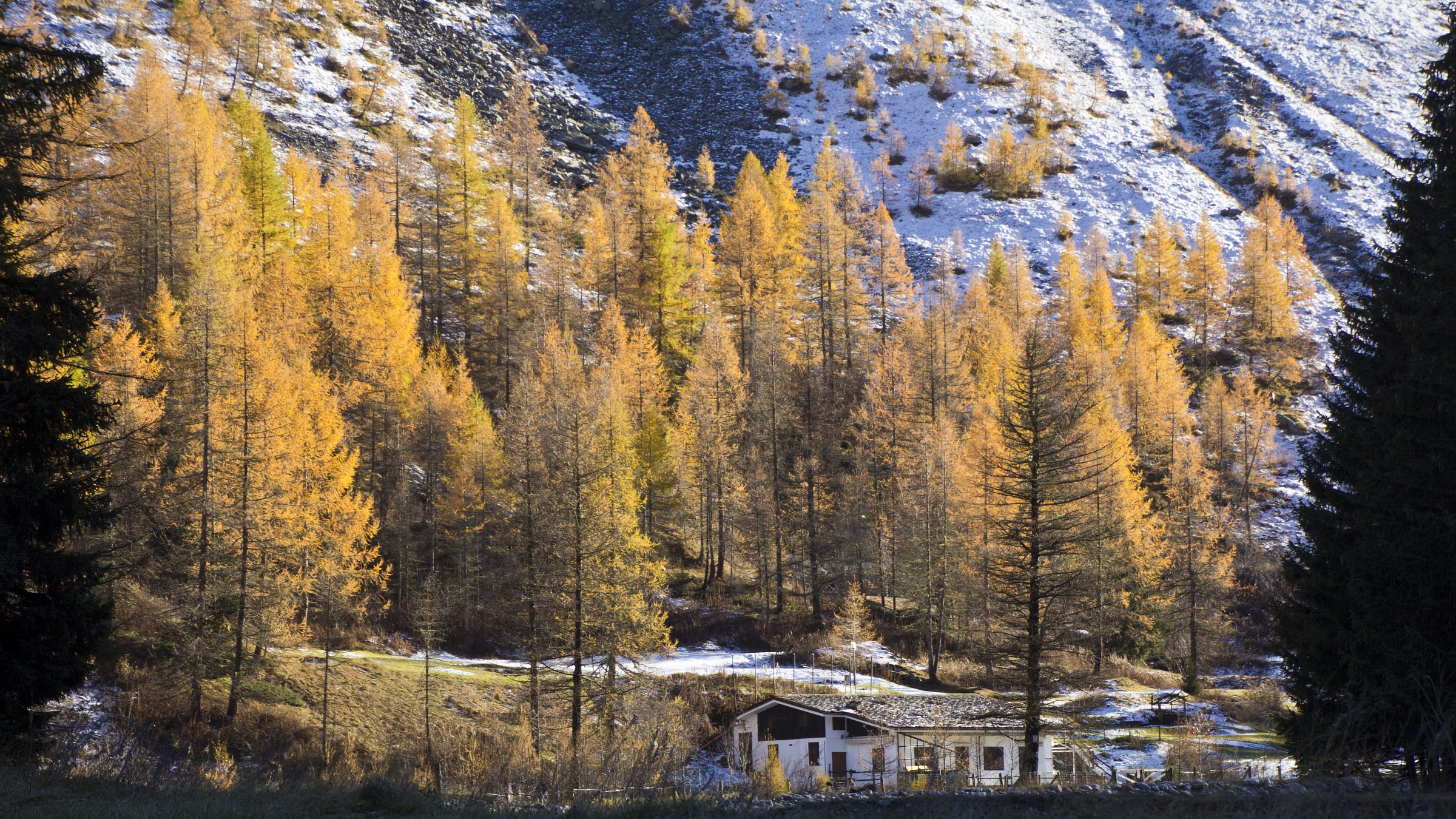 Autumn in Val D 'Aosta...