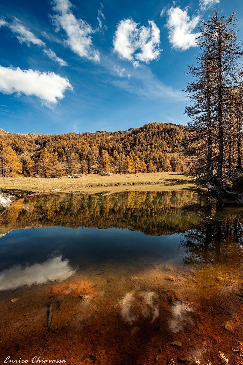 Autumn reflections and transparency...