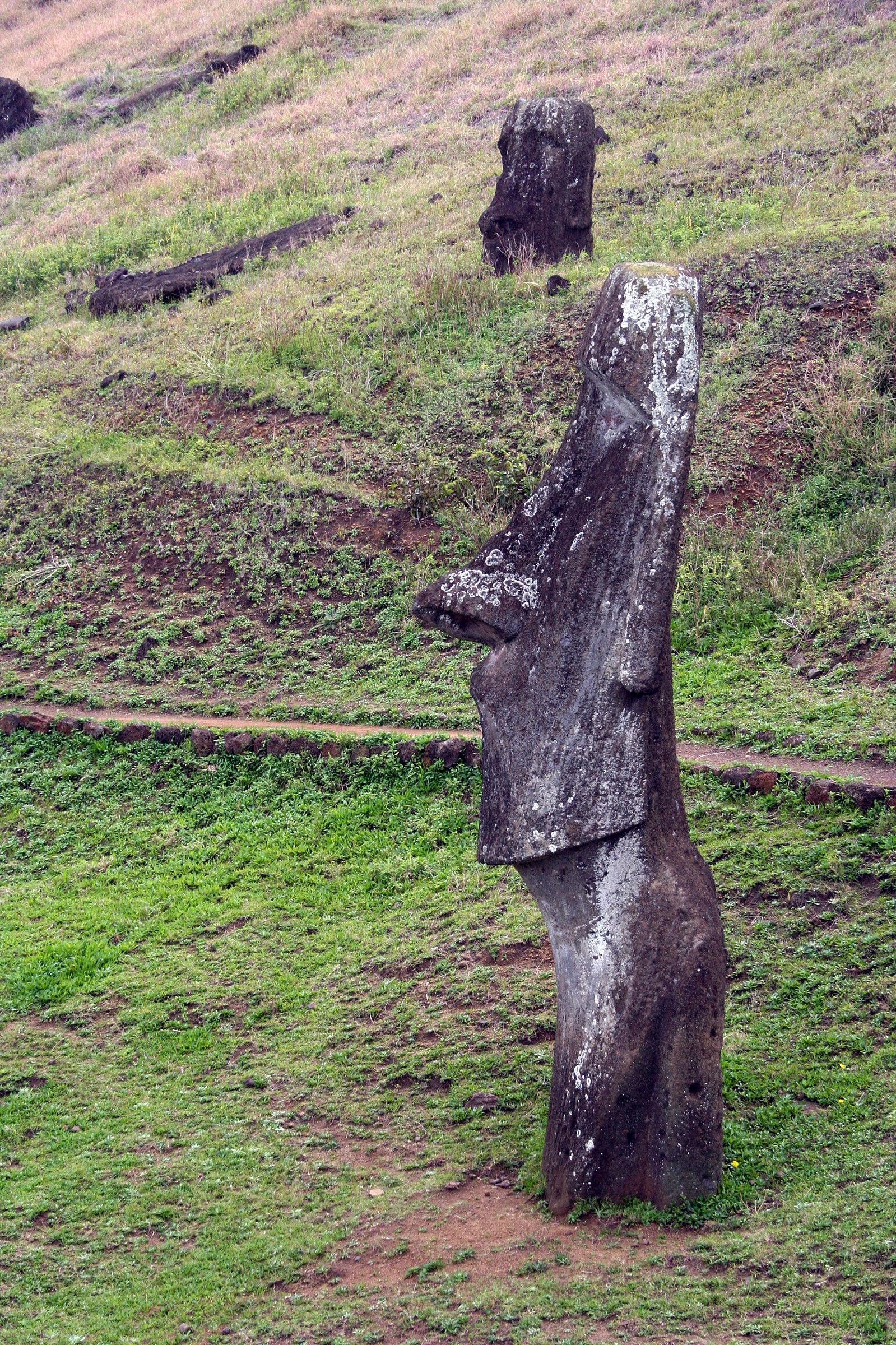 Profile Moai...