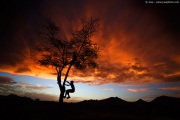 [Photo]