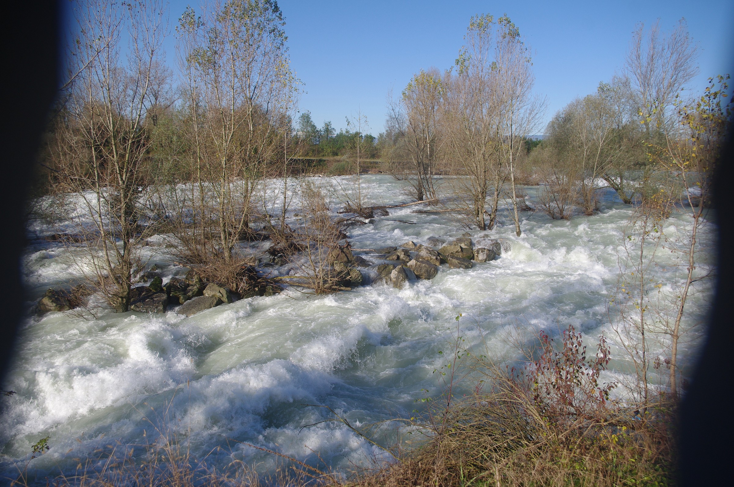 il brenta a carturo (pd)...