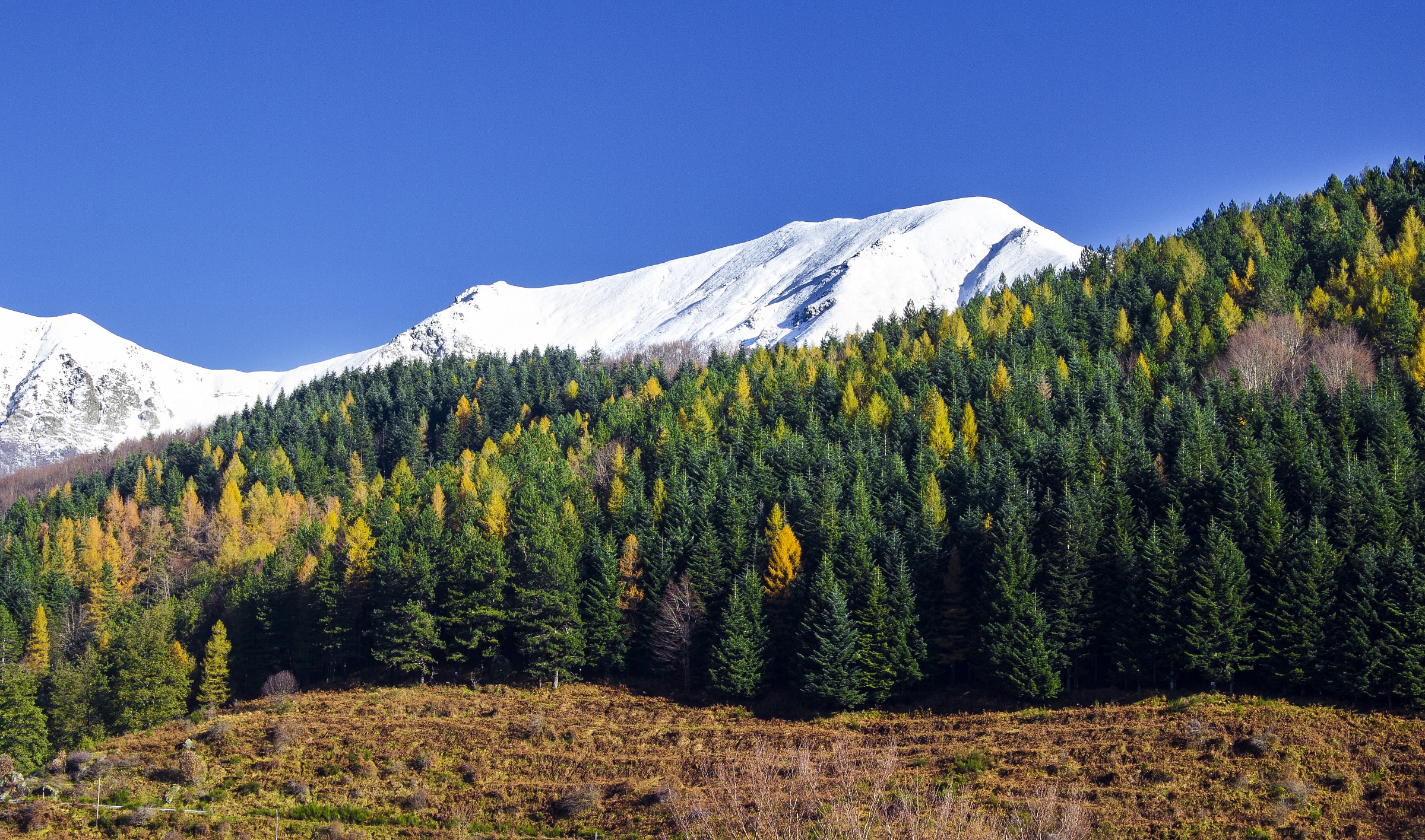 First Snow...