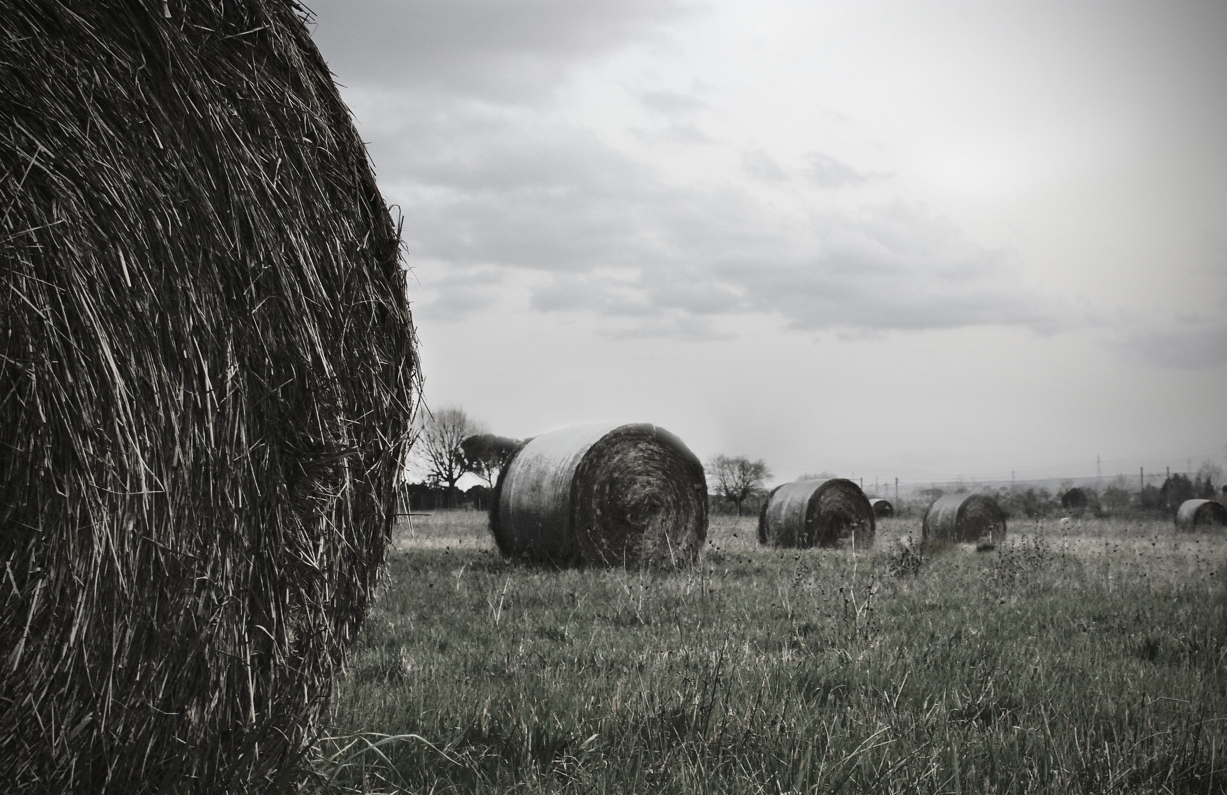 Bales of hay...