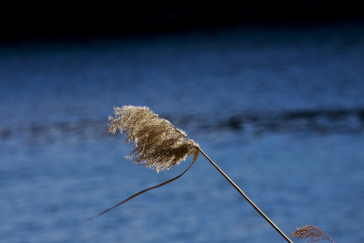 The wind on the river Adda...