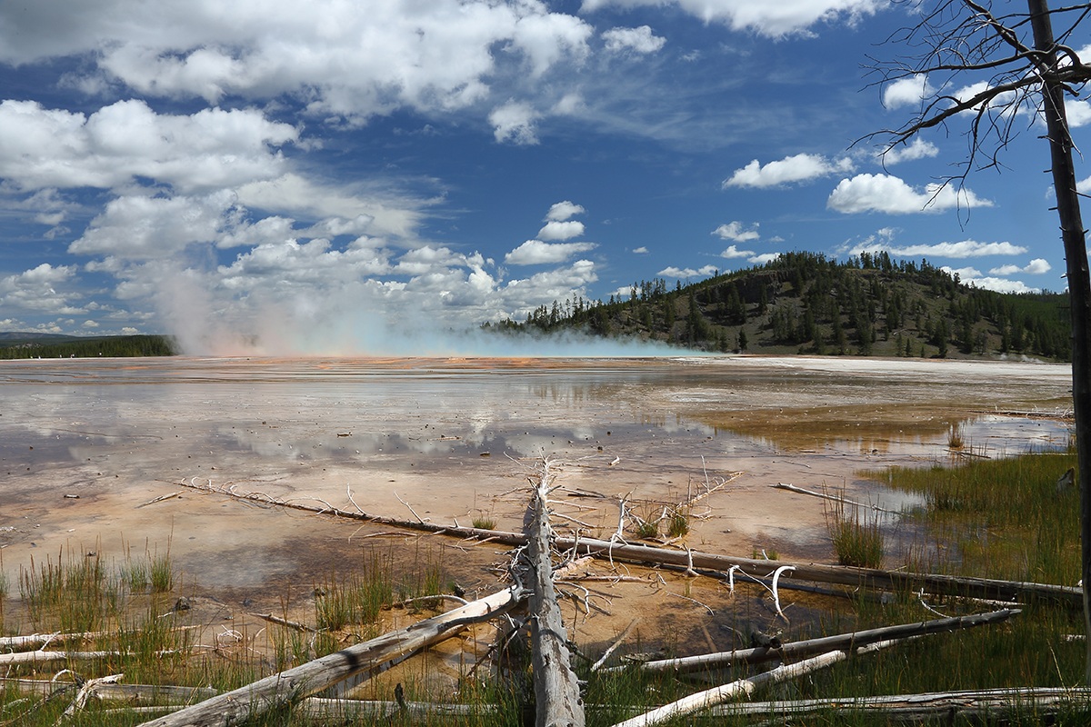 Yellowstone n.p....