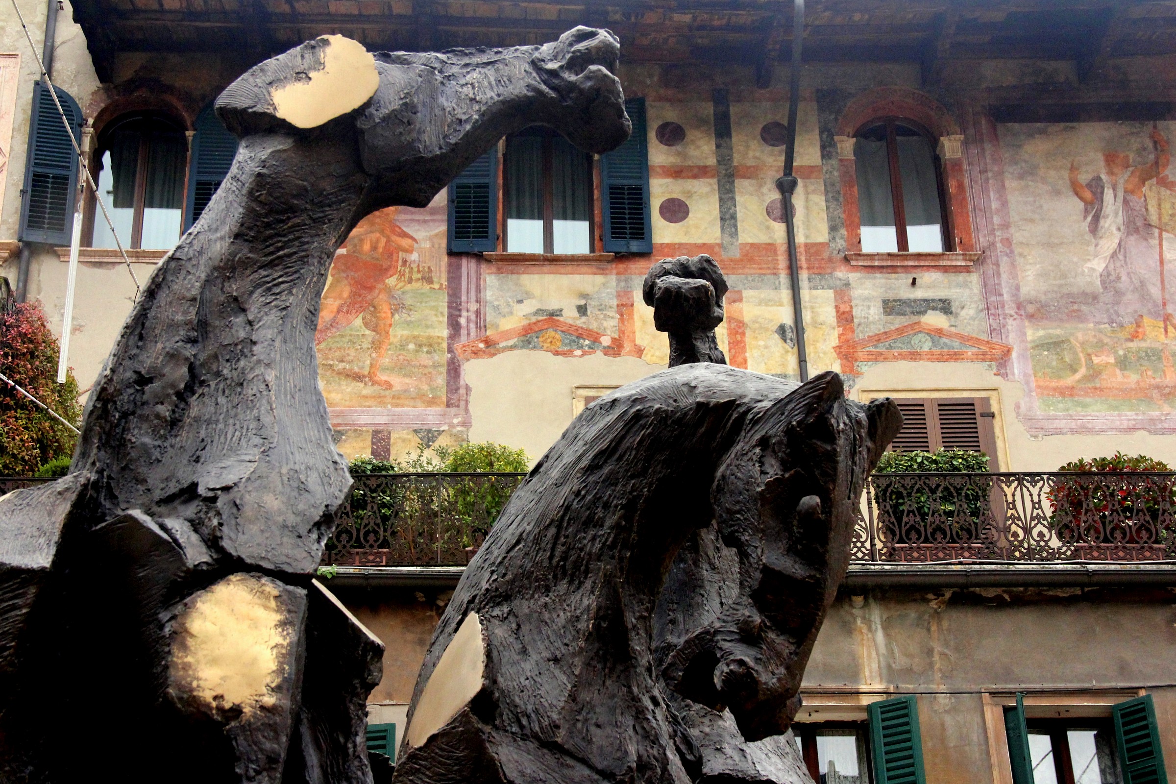 Cavalli in Piazza delle Erbe...