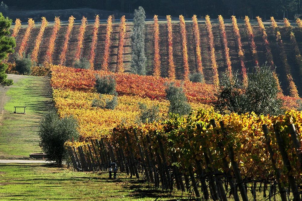 Autunno in Toscana...