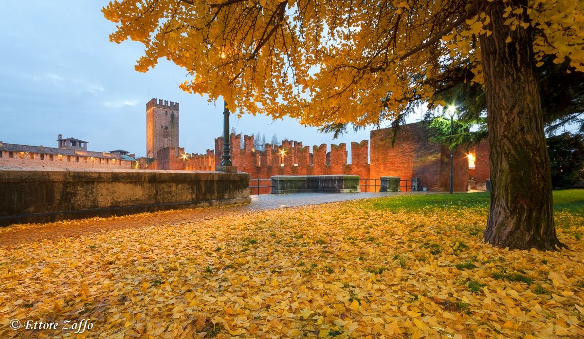 Da un angolo di Verona...