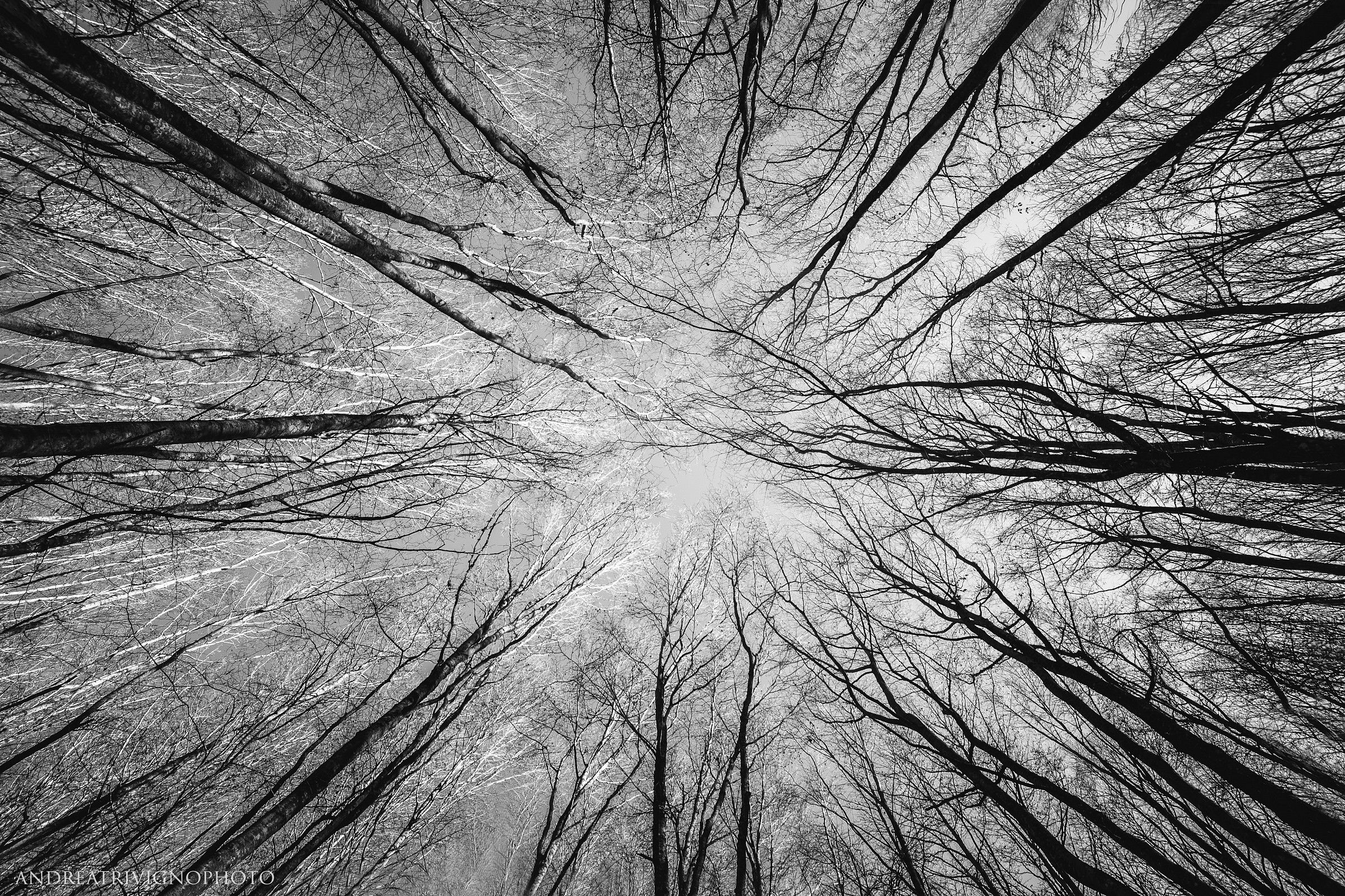 Capillarity...