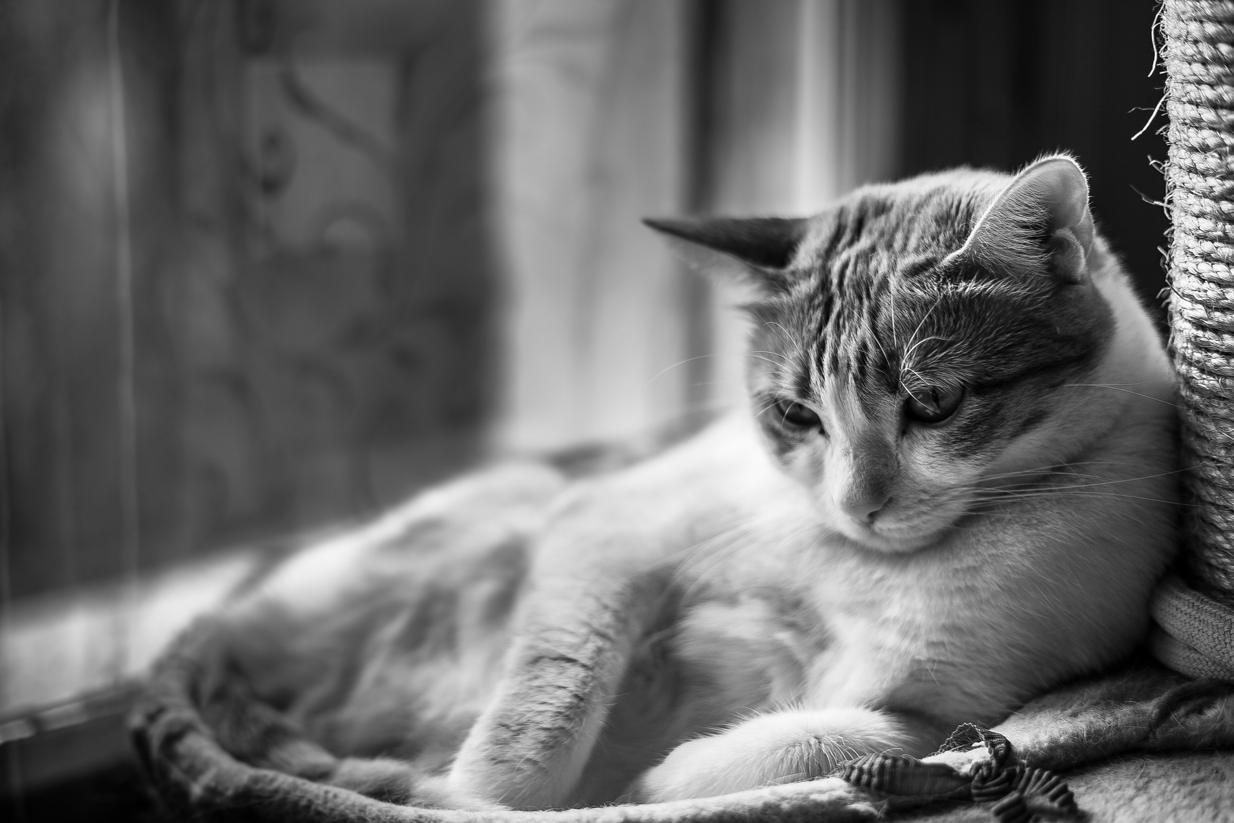 Untitled Photo...