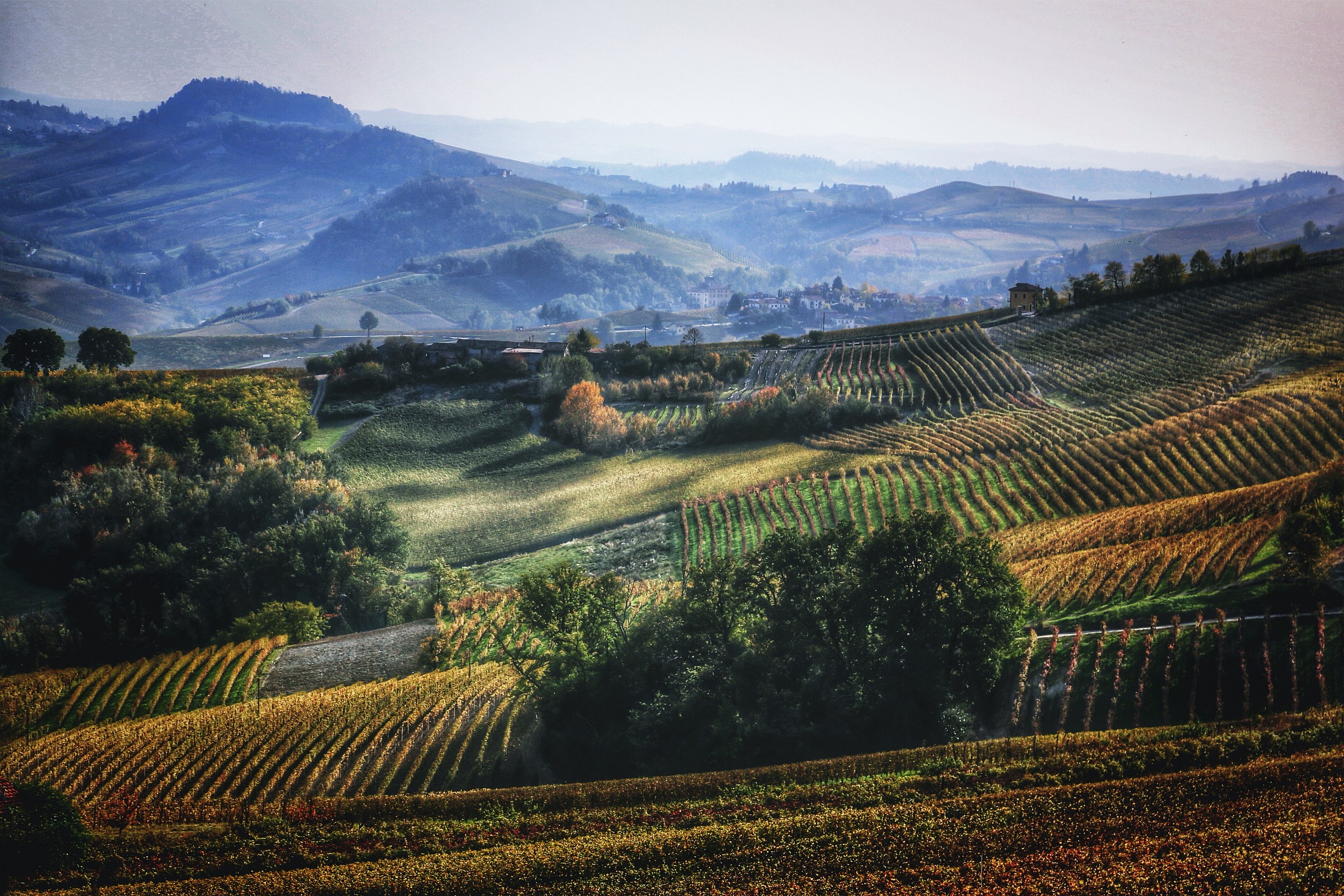 Langhe revisited...