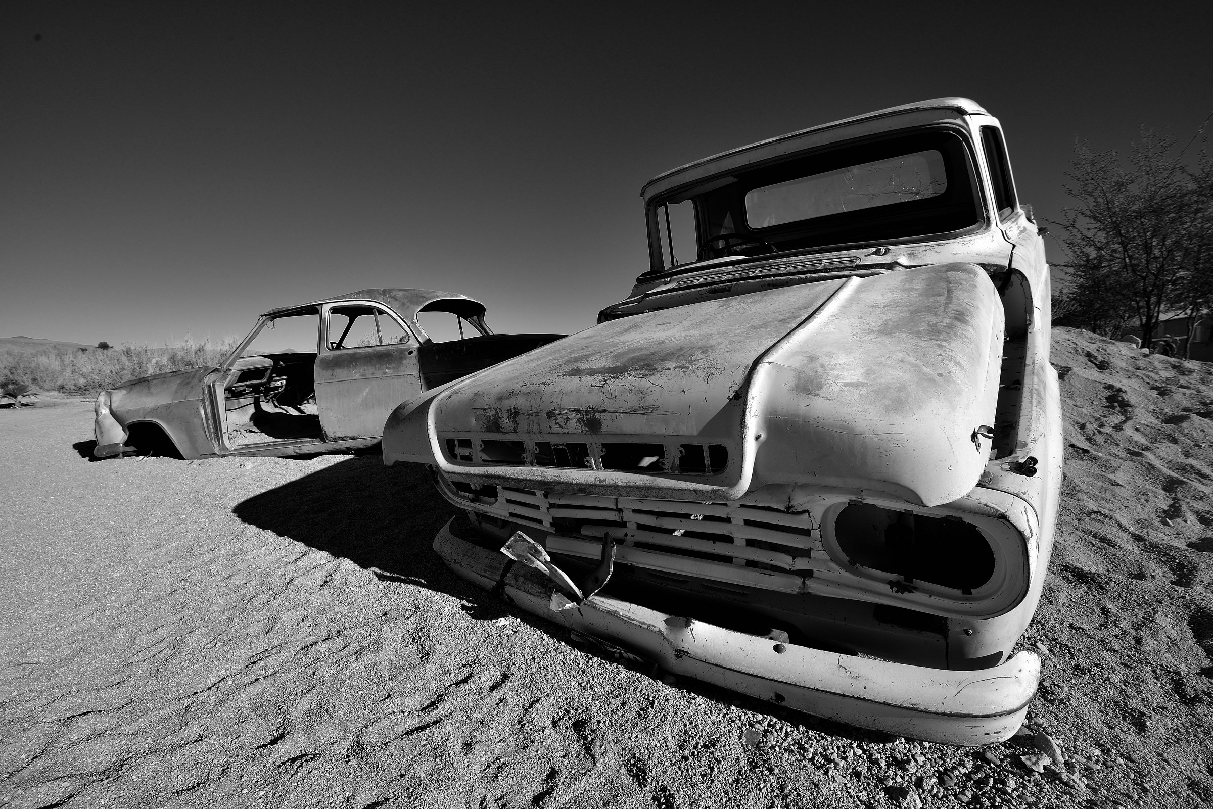 In the Namib Desert...