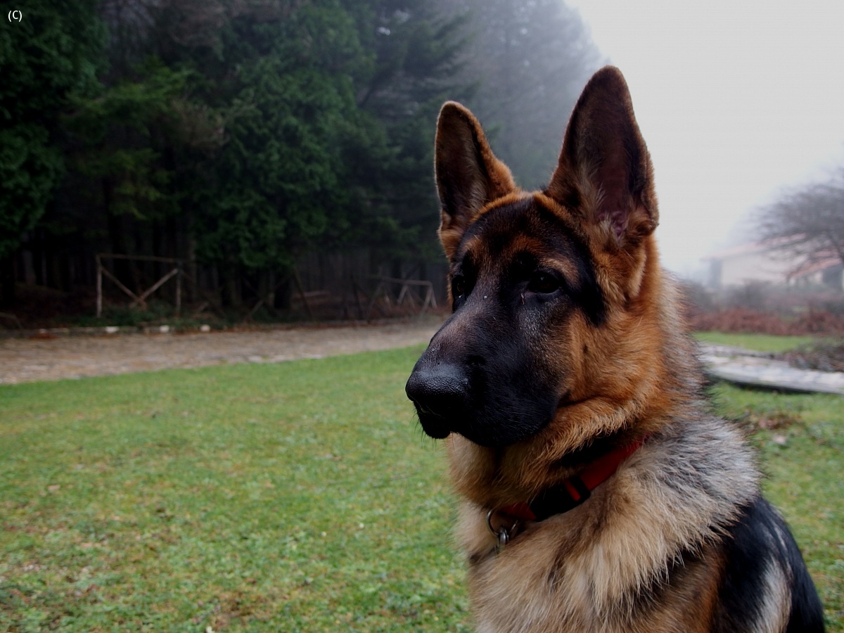 First time in Aspromonte...