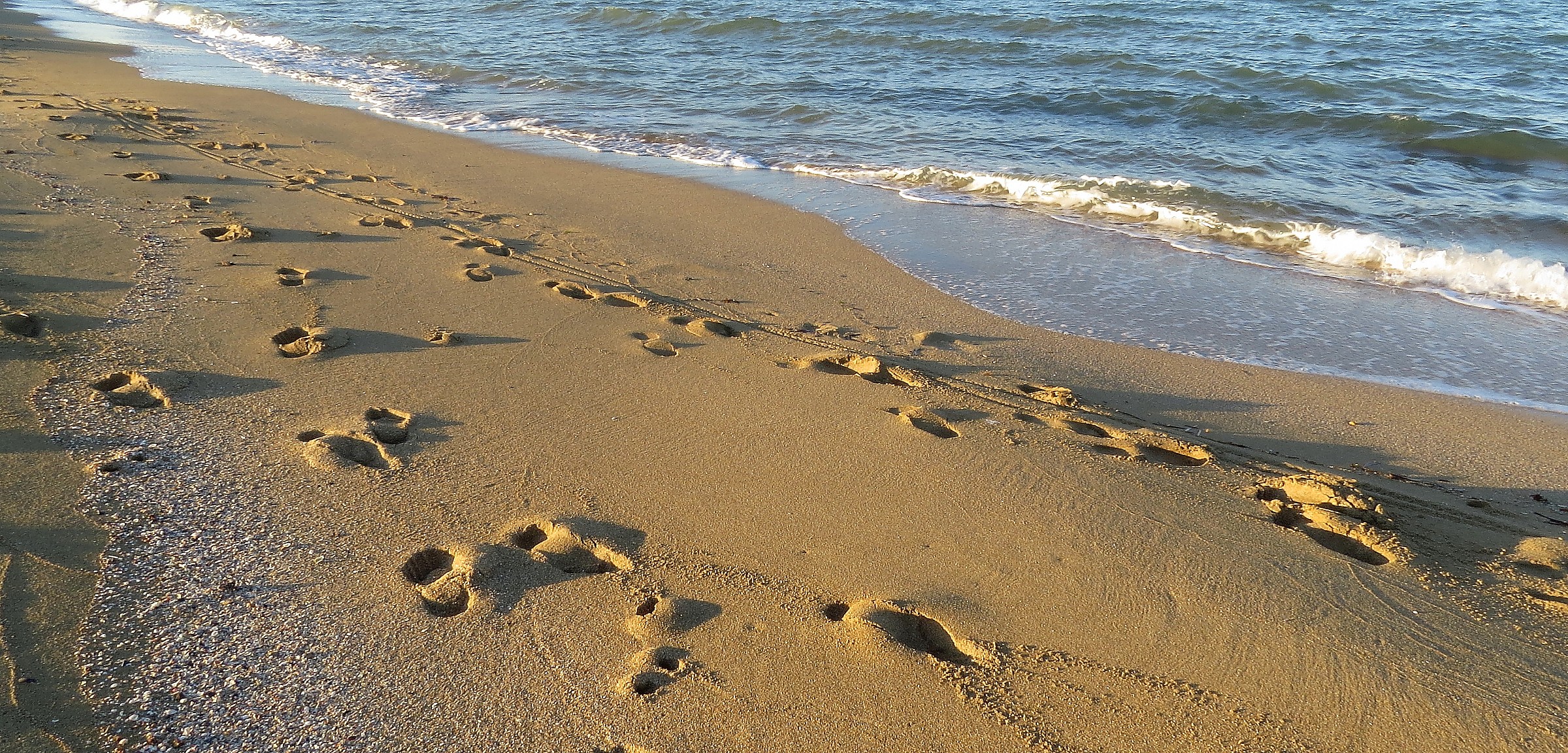 impronte sulla sabbia...