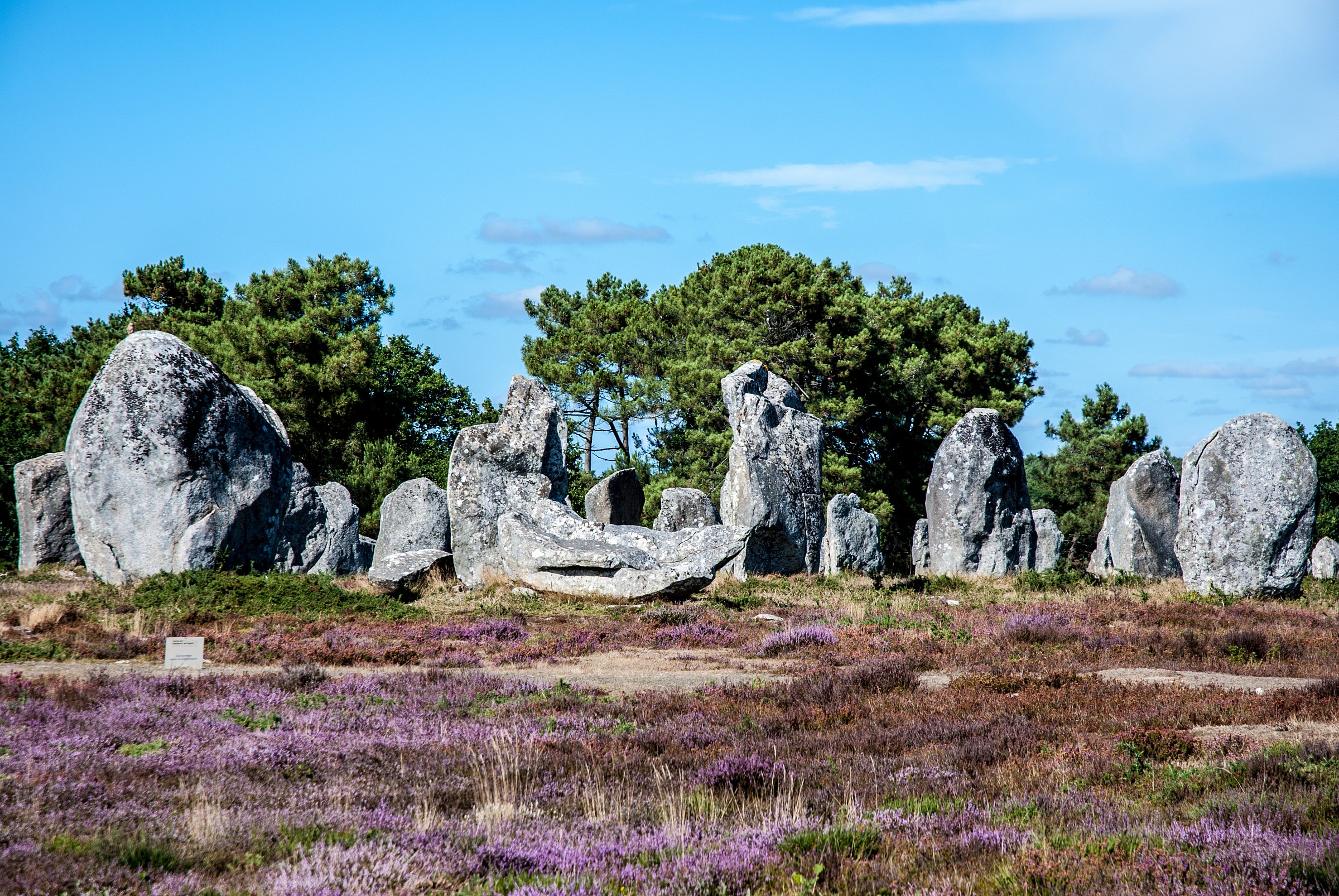 Carnac...