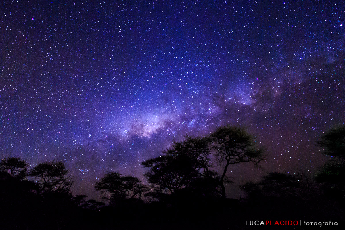 La Via Lattea ai confini del parco Etosha...